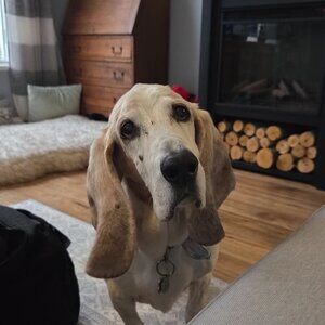 Meet your Posher, Hillary